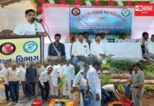 વલસાડ જિલ્લાના કપરાડાના જામગભણ ગામમાં 73માં વન મહોત્સવ ઉજવણી.. મંત્રીશ્રી જીતુભાઈ ચૌધરી જાણો શું કહ્યું..