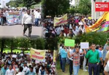 નર્મદામાં જુની પેન્શન યોજના પુનઃ શરૂ કરવવા આક્રોશ રેલી સાથે નર્મદાના કલેકટરને આવેદનપત્ર: જુઓ વિડીયો