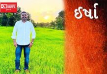 અમુક ભણેલા ગણેલા “મેન્ટલી અનફીટ” માણસો ‘ઈર્ષા’ નો વારસો આગળ વધારી રહ્યા છે: કિરણ પાડવી