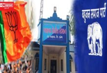 ડાંગના રાજકારણમાં ગરમાવો: BSPના સામાજીક કાર્યકરને ભાજપના લીડરે માર્યો માર