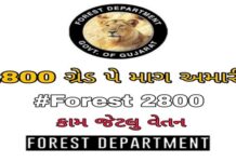 લો બોલો..! હવે વનરક્ષકો અને વનપાલો પણ ગાંધી ચિંધ્યા માર્ગે હડતાળ પર..