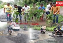 વાપી- શામળાજી રોડ પર પડેલા ખાડાઓ બાબતે ધરમપુરનું રોડ તંત્ર ગાંધારી બન્યું છે: કલ્પેશ પટેલ