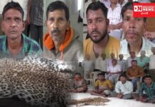 વાંસદામાં આંકડાનો જુગાર રમાડતા ચાર લોકો દિપડાના ચામડું વેચવાના ફિરાકમાં વન વિભાગના હાથે ચડ્યા.. જાણો સમગ્ર ઘટના