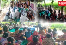 વાંસદામાં ગામડાઓમાં આપના કાર્યકર્તાઓનું ડોર ટુ ડોર મુલાકાત.. આપ પાર્ટીને એક વખત મોકો આપવા કરાઈ રહી છે અપીલ..