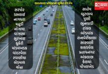 નવસારી જિલ્લામાં ભારતમાલા પ્રોજેકટની જમીન સંપાદન માટેની પ્રક્રિયા ઉપર બ્રેક લાગી.