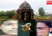 પ્રવાસન સ્થળ વિલ્સનહિલ પર મધમાખીનો પ્રવાસીઓ પર હુમલો.. જાણો સમગ્ર ઘટના