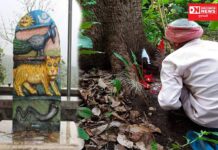 વાઘ બારસ એટલે આદિવાસી સમાજનો પરંપરાગત તહેવાર..