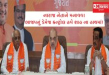 ભાજપમાં વિધાનસભાની ચૂંટણીની ટીકીટની વહેંચણીથી 166 બેઠક પર આંતરિક નારાજગી.. અમિત શાહ કરશે ડેમેજ કંટ્રોલ