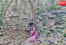 વાંસદામાં મહિલાની ફાંસી ખાધેલી હાલતમાં લાશ મળ્યાનો આવ્યો કિસ્સો બહાર.. પોલીસ તપાસ જારી..