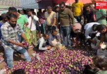 જેને લઇ જવું હોય એ લઇ જાય.. ખેડૂતે કેમ વેર્યા રસ્તા પર રીંગણ ?.. જુઓ વિડીયો