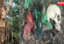 ડાંગના જંગલમાંથી મળ્યું માનવ કંકાલ.. લોકમાં ચકચાર.. પોલીસે તપાસના ચક્રો કર્યા ગતિમાન