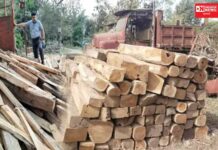 નાનાપોઢા રેન્જ ફોરેસ્ટર અધિકારી અભિજીતસિંહ રાઠોડે કર્યો પુષ્પાઓનો પર્દાફાસ.. 2.90 સાગના લાકડાનો જથ્થો ઝડપ્યો