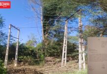 દક્ષિણ ગુજરાત વીજ લીમીટેડ કંપની રૂમલાની કામગીરી ગોકળગાય જેવી… જાણો સમગ્ર ઘટના