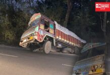 વાંસદા તાલુકાના મીઢાબારીમાં ટ્રક ચાલકેને નીંદરનું ઝોંકુ આવી જતાં હાઈવે પર સર્જાયો અકસ્માત