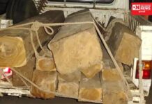 65 હજારના સાગી લાકડા સાથે 5.15 લાખ રૂપિયાનો મુદ્દામાલ કબજે કરતી ડાંગના ભેંસકાતરી રેંજની ટીમ..