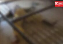 જાણો: કયાં 20 વર્ષીય મહિલાનો ગળું દબાવીને કરાયેલી હત્યાનો મળ્યો મૃતદેહ..