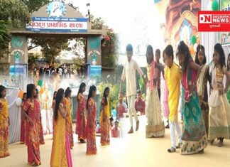 વાંસદાના વાંગણ ગામમાં 74 માં પ્રજાસત્તાકદિનની ભવ્ય ઉજવણી.. જુઓ સાંસ્કૃતિક કાર્યક્રમના વિડીયો