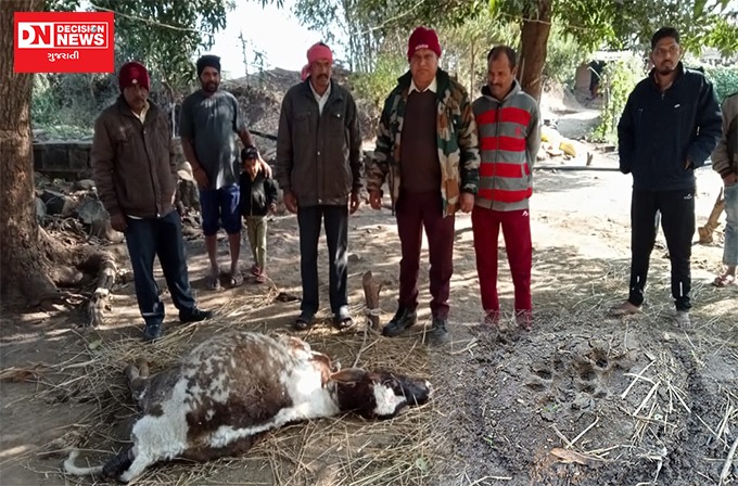 WhatsApp Image 2023-02-03 at 9.10.59 AM