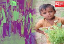 5 વર્ષના બાળકને દિપડો ઝાડ પર ચડી ગયો.. જાણો શું થઇ સમગ્ર ઘટના !