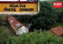 જાણો: સોનગઢના મોટા આમલપડા ગામમાં એવું તો શું મળ્યું કે, આખુ ગામ સ્તબ્ધ થઈ ગયુ.