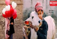 વિરોધના વંટોળ ઉઠાવના લીધે સરકારે 14મી ફેબ્રુઆરીએ ‘કાઉ હગ ડે’ ઉજવવાનો નિર્ણય પાછો ખેંચ્યો..