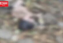 મૃત નવજાત બાળકને વાપીના બલીઠામાં ફેંકી કાળજાં વગરની માં ફરાર..પોલીસની CCTV ફૂટેજ આધારિત તપાસ શરુ..