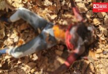 વિલ્સન હિલના આવધા ઘાટના જંગલ વિસ્તારમાંથી ડીકમ્પોજ હાલતમાં મહિલાની લાશ મળ્યાના ફોટોગ્રાફ્સ વાયરલ..