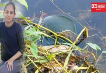 હત્યા કે આત્મહત્યા.. ચીખલીમાં તલાવચોરાના તળાવમાં મળી 22 વર્ષીય યુવતી લાશ.. પોલીસ સત્યની શોધમાં