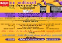 વાંસદા-ચીખલીના BVK ગ્રુપ દ્વારા યુવા ઉત્કર્ષ માટે યોજાશે 21 ફેબ્રુઆરીના રોજ રોજગાર ભરતી મેળો..