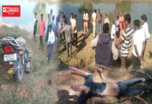 મહુવામાં બાઈક સવારનું અકસ્માતમાં મોત.. લગ્નમાં ગયા હતા બાઈક સવારો.. જુઓ વિડીયો.. જાણો વિગતે