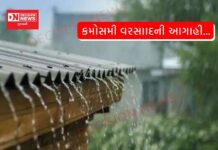 કમોસમી વરસાાદની આગાહી… ખેડૂતો અને એપીએમસીને સર્તક રહેવા માટે તંત્ર દ્વારા સૂચન