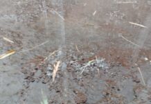 ધરમપુરના ગામડાઓમાં કરા સાથે સતત એક કલાક મેઘ તાંડવ.. આદિવાસી ખેડૂતો પર આભ ફાટ્યું..