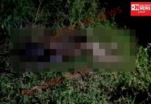 આહવા પોલીસ સ્ટેશનની હદ વિસ્તારમા અજાણ્યા બાળકની લાશ મળી..