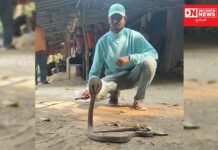 મોટાપોંઢા ઓઝર ગામમાં કોબ્રા ઝેરી નાગનું કરાયું રેસ્કયું.. જુઓ વિડિઓ…