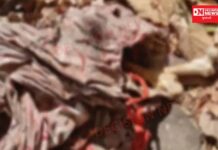 બે મહિનાથી ગુમ 14 વર્ષની કિશોરીનું વઘઇના જંગલની ખીણમાં ફાંસો ખાધેલી હાલતમાં મળ્યું લાશનું કંકાલ..