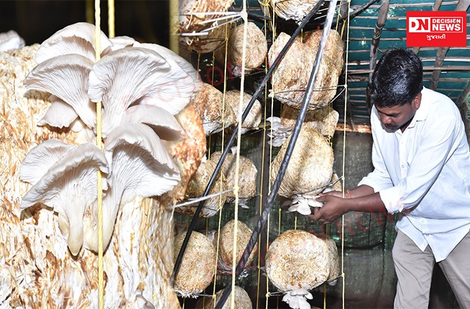 WhatsApp Image 2023-04-04 at 9.38.46 AM