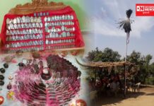 આદિવાસીના કુંકણા સમાજમાં પિતૃ દેવોના પારણાં ઉત્સવની ભવ્ય ઉજવણી.. શું છે પરંપરા.. જાણો