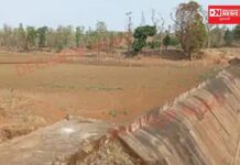 આદિવાસી વિસ્તારોમાં સુજલામ સુફલામ યોજનાના પોકળ દાવાને ખુલ્લો પાડતો આહવાના ધવલીદોડ ગામનો ચેકડેમ..