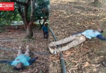 વાંસદાના રાયબોર ગામના વ્યક્તિએ આંબાના ઝાડ પર ખાધો ગળે ફાંસો.. કારણ અકબંધ