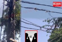 વાંસદાના ખેડૂતે નોંધાવેલી તૂટેલા વીજ પોલની ફરીયાદ વીજ કંપની વાંસદા ડિવિઝનના બહેરા કાને ક્યારે અથડાશે.. વીજળીને લઈને અધિકારીનો ઓડિયો વાયરલ..