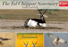 દેશનું વધુ એક અભિયારણ ઇકો-સેન્સેટિવ જોનમાં થયું શામિલ.. જાણો