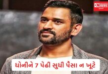 ધોનીનો હોટલથી લઈને એરોસ્પેસ સુધીનો છે બિઝનેસ.. સંપતિ જાણીને મોં માં આગળા નાખી દેશો..