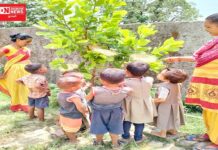 ડાંગ જિલ્લામાં આંગણવાડી કક્ષાએ પર્યાવરણને અનુલક્ષીને યોજાઈ વિવિધ પ્રવૃતીઓ..