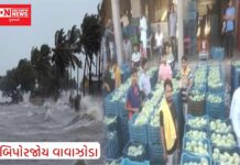 ધરમપુરની બામટી માર્કેટમાં… કેટલો છે કઈ કેરીનો ભાવ..? બિપોરજોય વાવાઝોડા પછી ભાવ વધશે કે ઘટશે ?