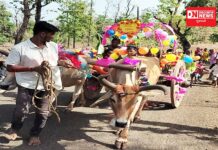 આંગણવાડીના ભૂલકાઓએ કુમકુમ પગલાં સાથે બાલવાટિકામાં પ્રવેશ મેળવ્યો…