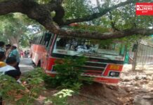 વાંસદાના હનુમાનબારી ચાર રસ્તા આગળ સુરતથી શિરડી જતી ST બસ ખાડા ઉતારી જતાં બાલબાળ બચી.. જાણો સમગ્ર ઘટના..