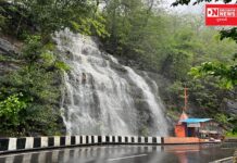 ડાંગ જિલ્લામાં વરસાદનો વિરામ.. ગઈ કાલ સાંજના છ થી આજે સવારે છ વાગ્યા સુધી નોંધાયો માત્ર ૯ મી.મી. સરેરાશ વરસાદ