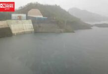 ધોધમાર વરસેલા વરસાદના લીધે સરદાર સરોવરમાં પાણીની આવકમાં વધારો.. ડેમની સપાટી 121.54 મીટર
