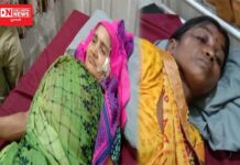 એક ઘરમાં ઘૂસેલા દીપડાએ બે આદિવાસી મહિલાઓ બચકું અને પંજો મારી કરી ઘાયલ.. મહિલાઓ સારવાર હેઠળ..