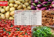 વાંસદામાં ટમેટા, મરચા, બટેટા, ડુંગળી, રીંગણ, આદુ, અને કોથમીર જેવી શાકભાજીના ભડકે બળતાં ભાવ.. ખાવું તો શું ખાવું.. ?